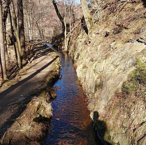 Апартаменты Ruhezeit Бад-Гарцбург